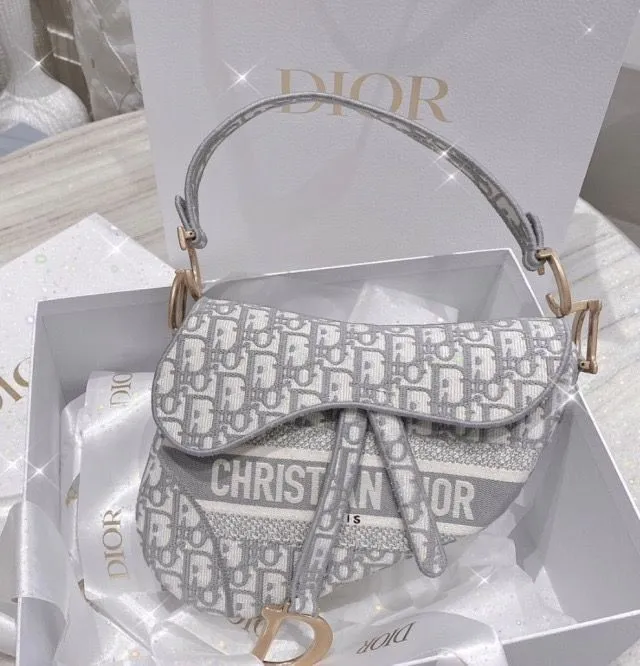 Dior-Inspired Fabric Saddle Women Bag with Brand Accessories (Grey)